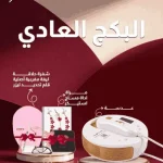 الباكج العادي | البداية المثالية